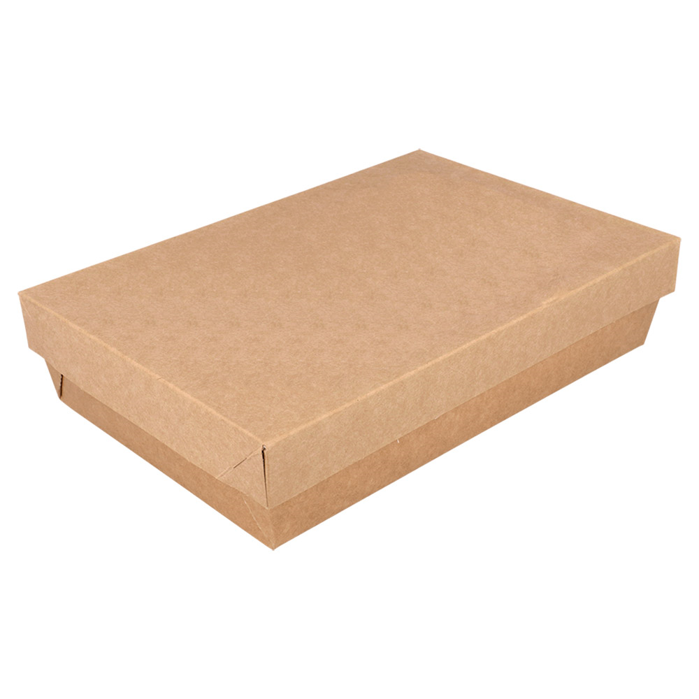 Schachteln+Deckel Thepack 1300 Ml 21X14X5 Cm Natur Nano Micro Karton +